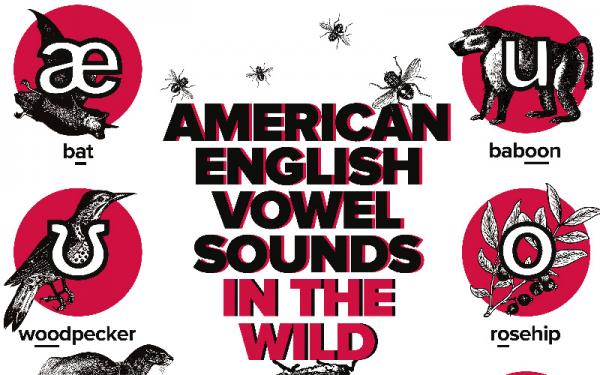 American English Vowel Sounds in the Wild