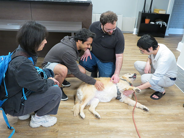 four graduate students are petting a visiting dog from Buckeye Paws