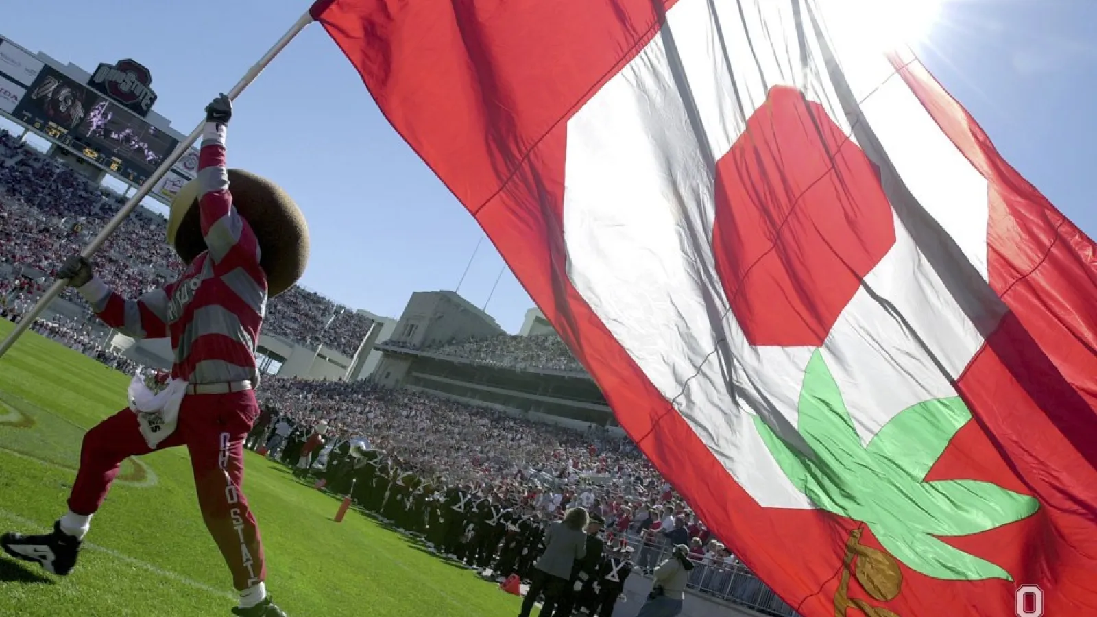 Brutus Buckeye