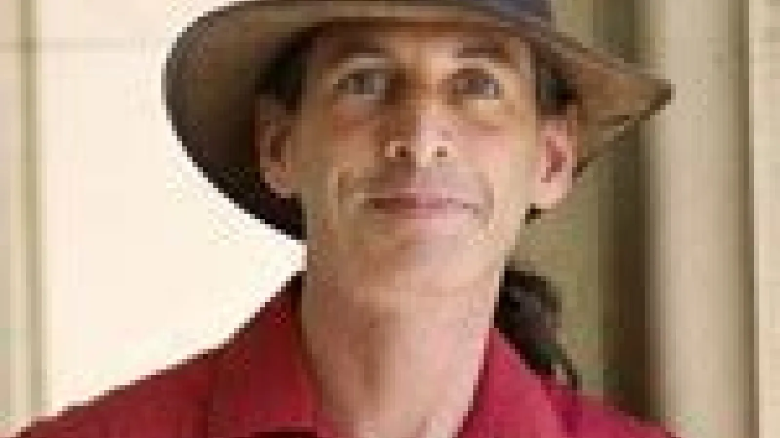 David beaver