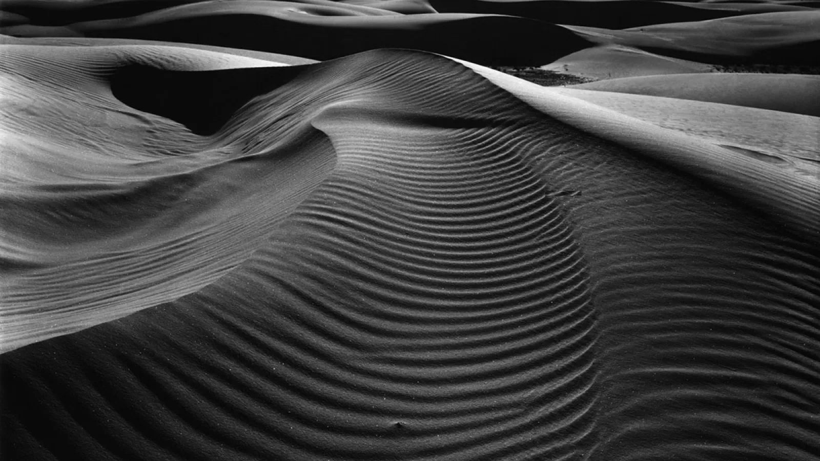 Brett Weston sand dunes