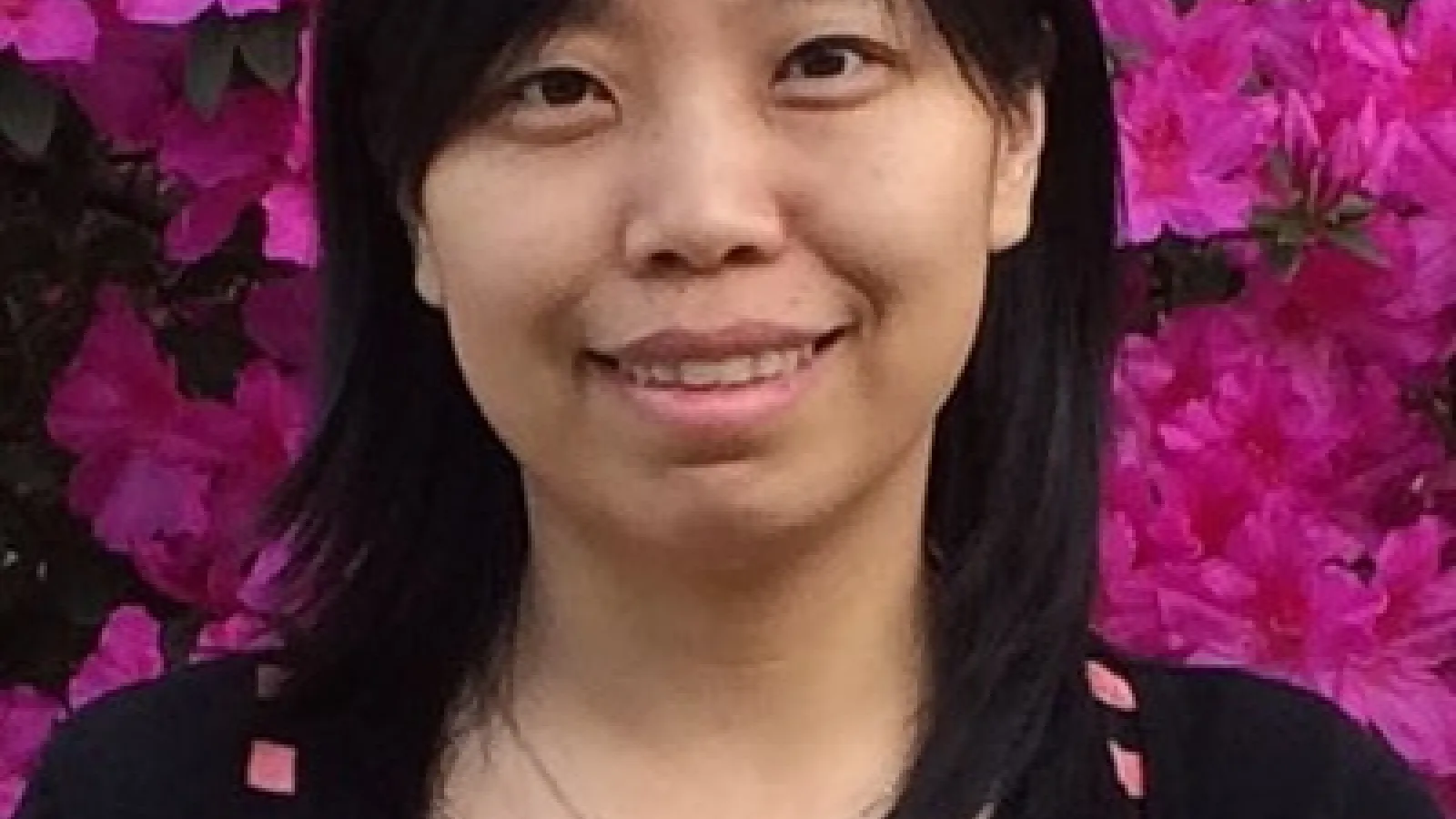Fangfang Li