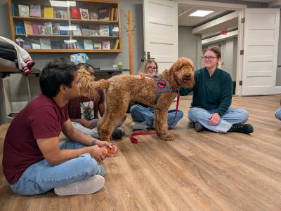 four students sitting on the ground, two of which are petting a dog